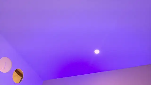 Nascary_Fox live