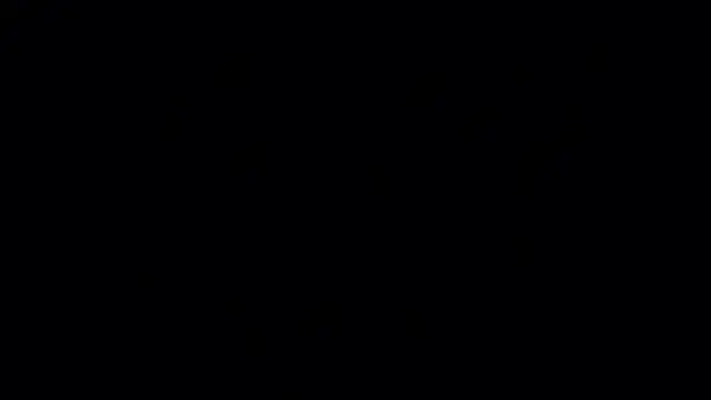 Jasmine_Lane live