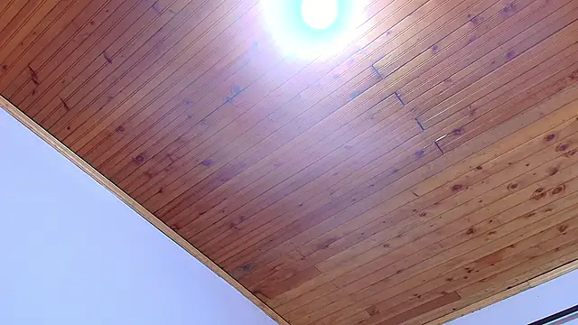 KimberlySuarez live