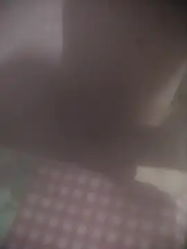 8414033011___- live