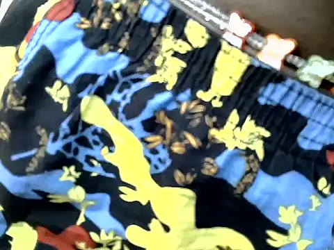 Autumnbeagle live
