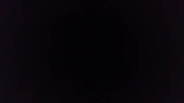 Ashley-ft live