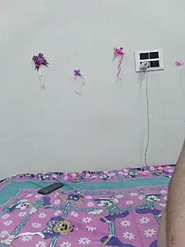 silkyhairs live