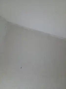 Arianna_Moss live