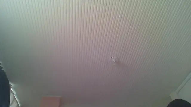 horny_brii live