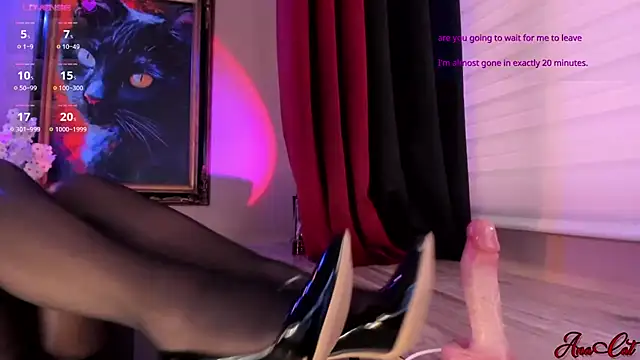 ana_cat live