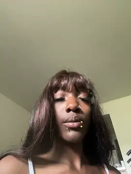 Loopsies live