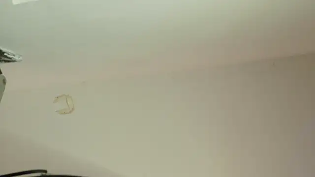 DannaNovoa live