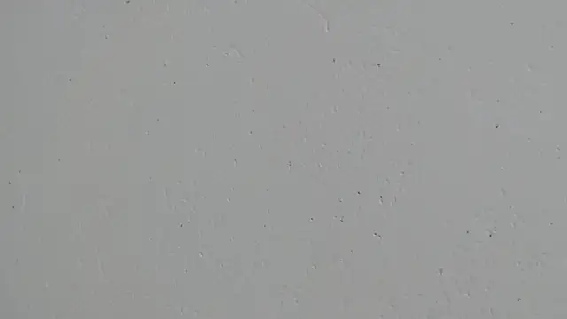 erikaskinny18 live