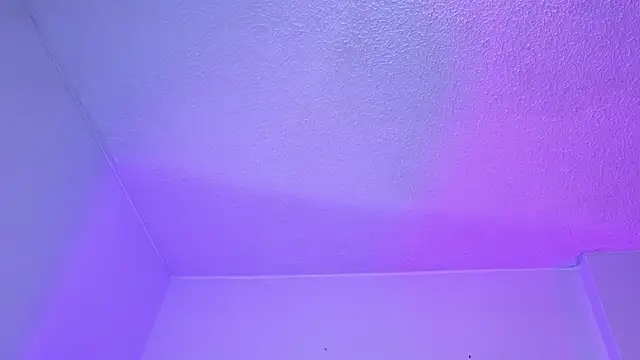 meowboo live