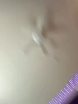 lit702 live