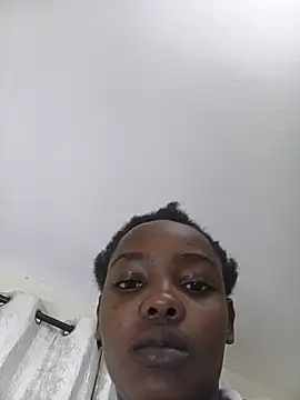 xbella32 live
