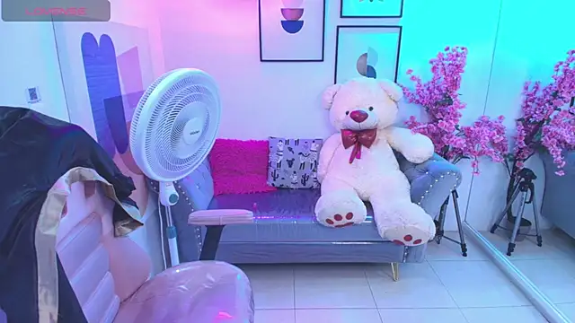 Shady_bug live