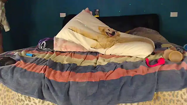 Karendolly__8 live