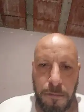 danmep8387 live