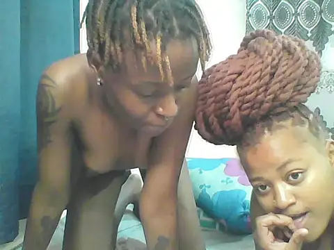 African_boobies live