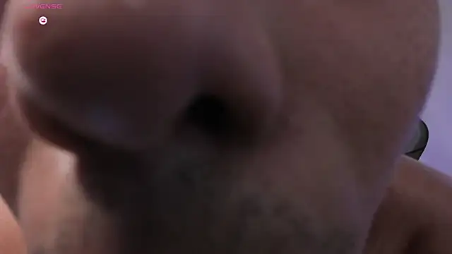 RoyConstance live