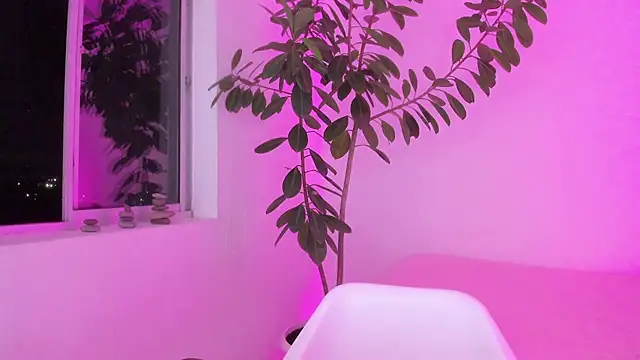 vandalovee_ live