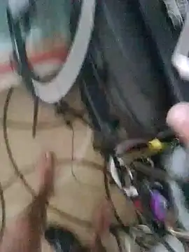roludoogato live