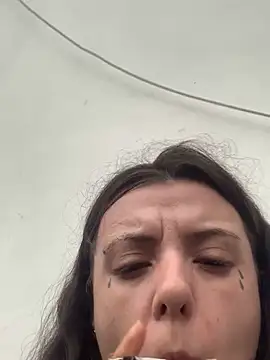 bunnythetailor live