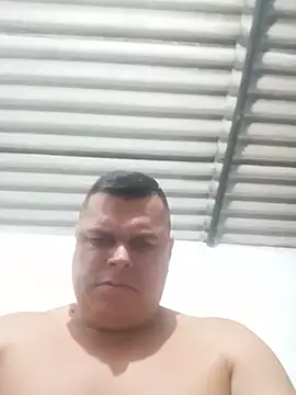 Belloalver live
