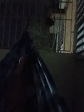 2lokitos live
