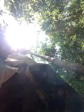 Orio_sexyy live