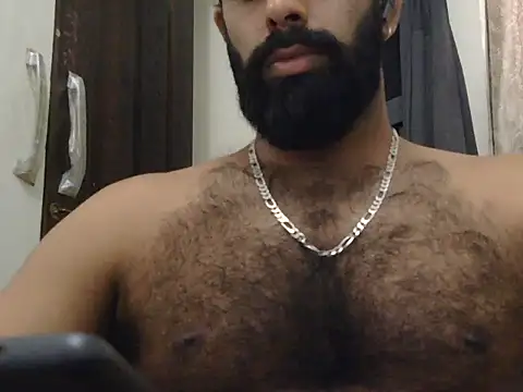 indianhairybull live