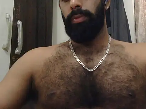 indianhairybull live