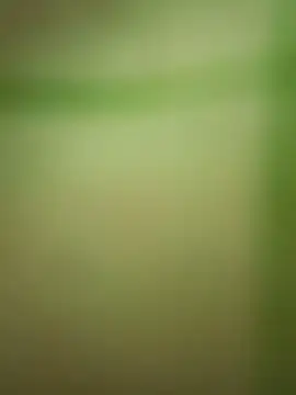 Alevsiz live