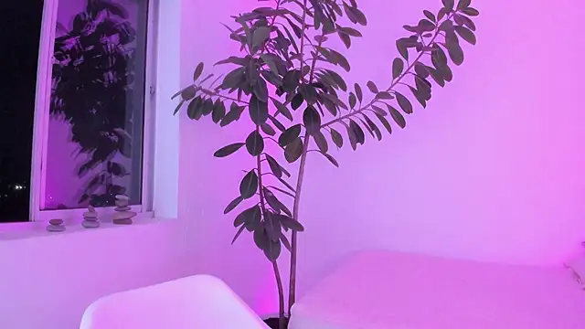 vandalovee_ live