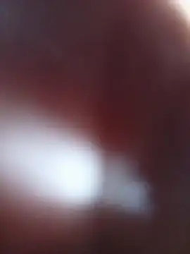 libelula09 live