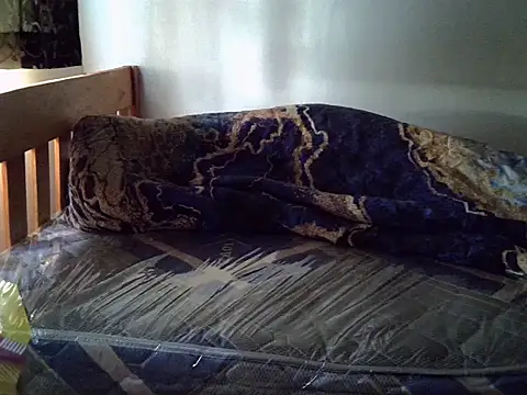 Vivibabe6 live