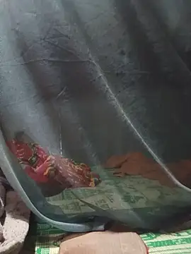 Heryy_xx live