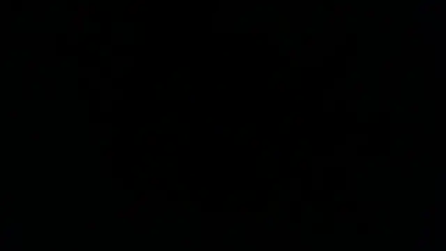 blackonwhite live