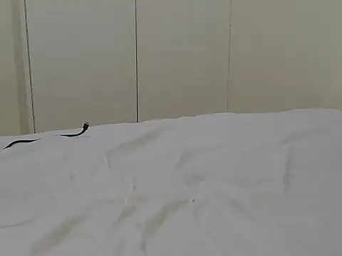 sexxypatty live