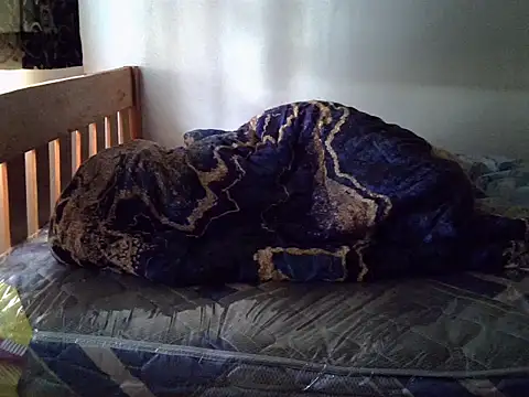Vivibabe6 live