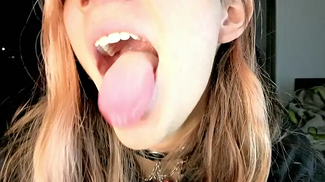 Feniix__ live