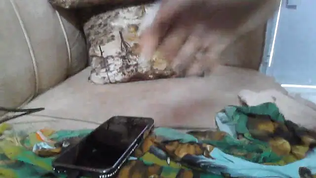 BabySwit live