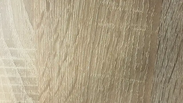 NoFace_Model live