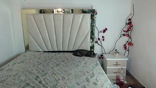 Candyy_doll__ live