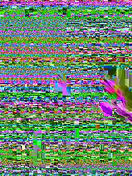 Hot_blondie live