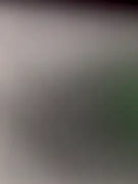 StefyTaylor live