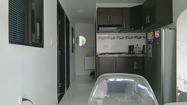 grey___27 live