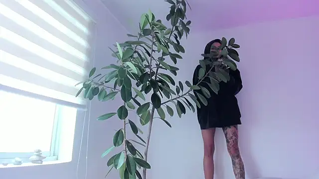vandalovee_ live