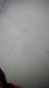 Daila_Lucia live