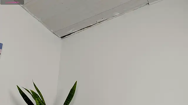 Sophia_Ebony live