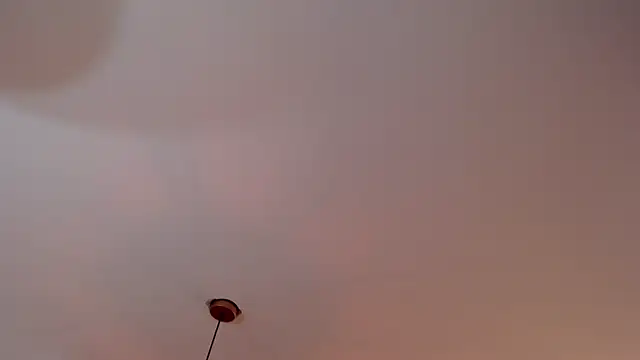 lorena_prg7 live