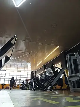 nicol_furyy live