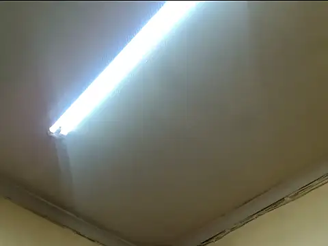 Taurusxox live